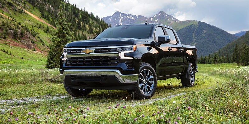 Black Chevrolet Silverado-1500 parked on a grassy field with mountains in the background